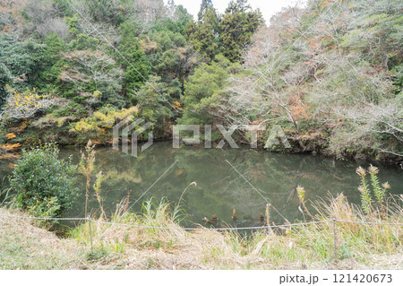 孝子の森の入口にある池（紀泉アルプス） 121420673