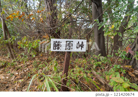 藤原峠(紀泉アルプス) 藤原峠(紀泉アルプス) 121420674
