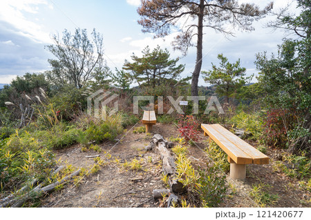 八王子峠にあるルリビタキの丘（紀泉アルプス） 121420677