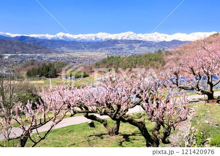 松代東条・杏の里 松代東条・杏の里 121420976