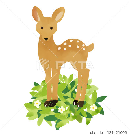植物と鹿のイラスト素材 植物と鹿のイラスト素材 121421006