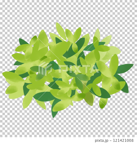 水彩風格植物灌木圖 水彩風格植物灌木圖 121421008