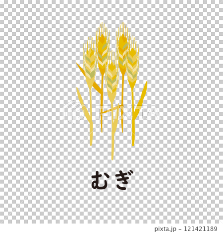 日本語ひらがなシリーズ―むぎ “む”のつくひらがな 日本語ひらがなシリーズ―むぎ “む”のつくひらがな 121421189