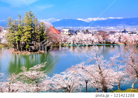 臥竜公園の桜 121421288