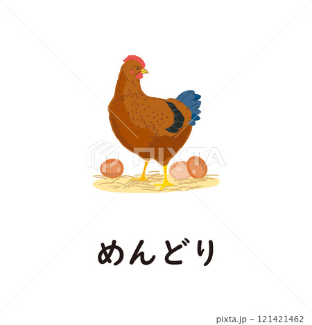 日本語ひらがなシリーズ―めんどり　“め”のつくひらがな 121421462