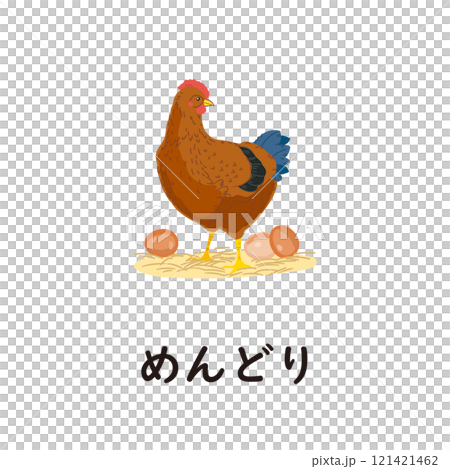 日本語ひらがなシリーズ―めんどり　“め”のつくひらがな 121421462