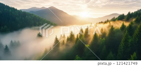 misty mountain range at sunrise, surrounded by lush green forests and fog. serene landscape evokes sense of tranquility and natural beauty. Environmental Protection Policy concept 121421749