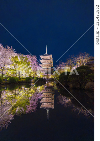 春の京都 東寺 夜桜ライトアップ 春の京都 東寺 夜桜ライトアップ 121421852
