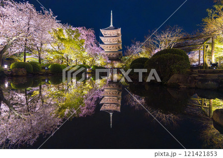 春の京都　東寺　夜桜ライトアップ 121421853