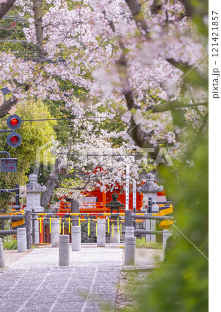 奈良 休ヶ岡八幡宮(薬師寺八幡宮)の桜並木の参道と近鉄沿線 奈良 休ヶ岡八幡宮(薬師寺八幡宮)の桜並木の参道と近鉄沿線 121421857