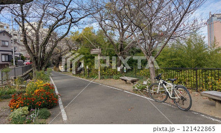 美しい花と木々のサイクリングロード 121422865