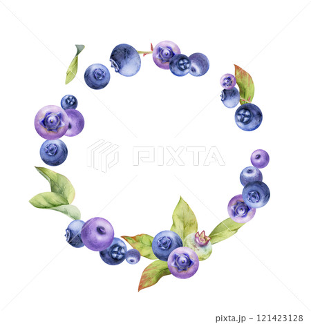 Blueberry blackberry, group of scattered ripe forest berry with drops and green leaves, hand drawn in watercolor. Wreath frame isolated illustration, for restaurant, cafe menu, wedding, farmers market Blueberry blackberry, group of scattered ripe forest berry with drops and green leaves, hand drawn in watercolor. Wreath frame isolated illustration, for restaurant, cafe menu, wedding, farmers market 121423128