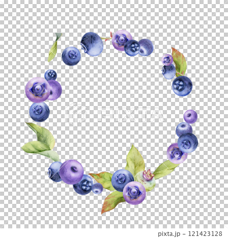 Blueberry blackberry, group of scattered ripe forest berry with drops and green leaves, hand drawn in watercolor. Wreath frame isolated illustration, for restaurant, cafe menu, wedding, farmers market Blueberry blackberry, group of scattered ripe forest berry with drops and green leaves, hand drawn in watercolor. Wreath frame isolated illustration, for restaurant, cafe menu, wedding, farmers market 121423128