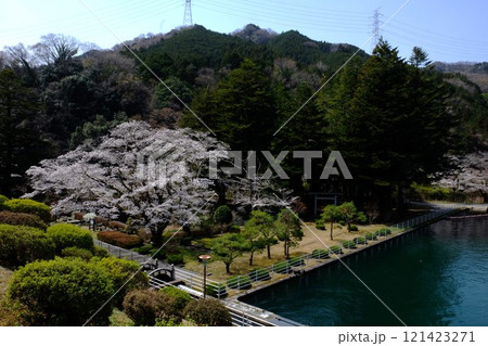 沈殿池と庭園　【相模原市津久井　4月】 121423271
