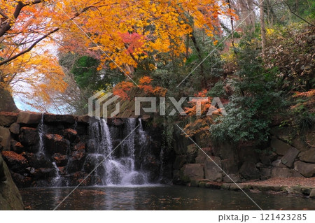 秋のまさかりが淵市民の森 滝と紅葉 秋のまさかりが淵市民の森 滝と紅葉 121423285