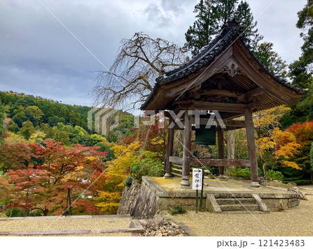 正暦寺の紅葉・本堂（奈良県・菩提山町） 121423483