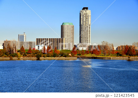 荒川越しに川口市方面を望む(埼玉県川口市)【2024.11】 121423545