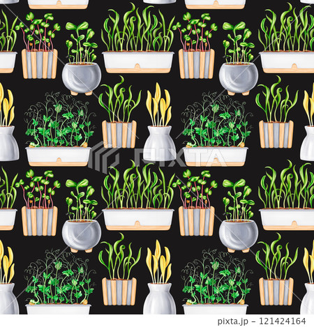 A seamless pattern of potted houseplants. Seedlings with microgreens for healthy nutrition. A vegetable garden on the windowsill. The growth of micro-greenery at home. Digital isolated illustration 121424164
