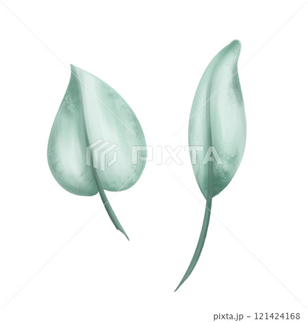 Two leaves of a eucalyptus tree soft green color to create organic seasonal cozy decor. Sustainable celebration of natural recyclable material, plastic free concept. Isolated illustration 121424168