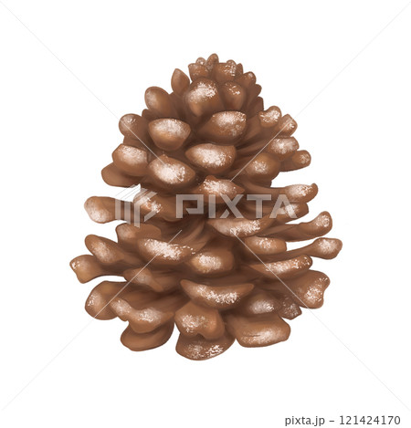 A dry pine cone is a close plan. Autumn and winter natural rustic decoration. Cozy handmade decor from recyclable materials, eco toy for a Christmas tree. Minimalistic gifts. Isolated illustration 121424170