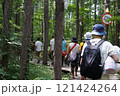 森の中を歩く人々 121424264
