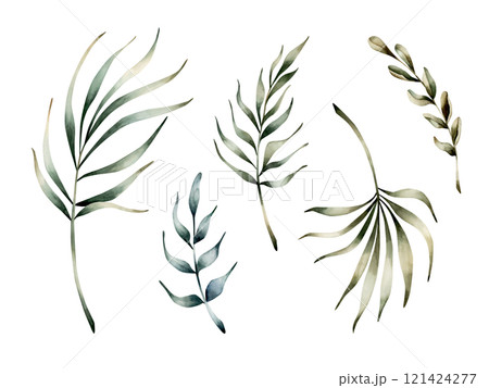 Palm leaves set. Tropical exotic plant branch. Watercolor hand drawn floral illustration isolated on white background for Ramadan Kareem design, Eid Al Adha, Al Fitr, fabric, textile, card, invitation 121424277