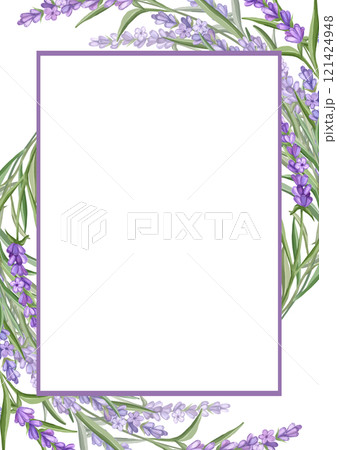 Lavender flowers geometry frame, hand drawn illustration for card or invitations. Lavender flowers geometry frame, hand drawn illustration for card or invitations. 121424948