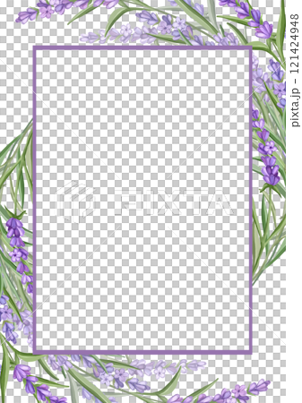 Lavender flowers geometry frame, hand drawn illustration for card or invitations. Lavender flowers geometry frame, hand drawn illustration for card or invitations. 121424948