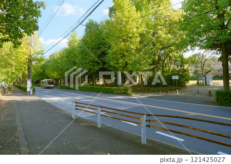 浄水通のりの菅生緑地 121425027