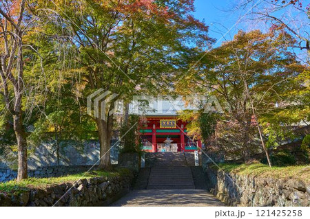 秋の群馬県富岡市の妙義神社参道から総門を見る 121425258