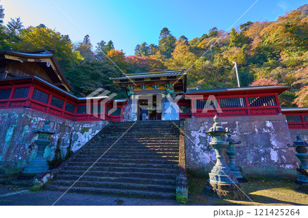 秋の群馬県富岡市の妙義神社の唐門(からもん)を見る 121425264