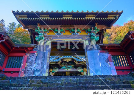 秋の群馬県富岡市の妙義神社の唐門(からもん)越しに拝殿を見る 121425265
