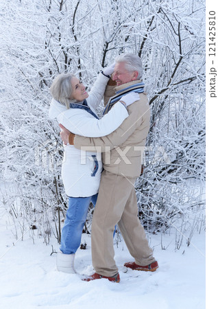 An elderly couple walks in a winter park An elderly couple walks in a winter park 121425810