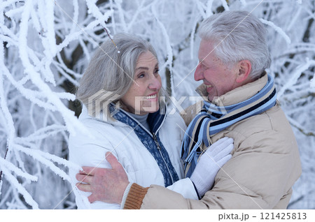 An elderly couple walks in a winter park An elderly couple walks in a winter park 121425813