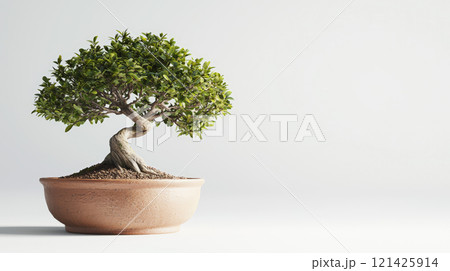 A beautifully captured bonsai tree in a handcrafted clay pot, photographed with stunning realism against a clean white background.  Generative AI 121425914