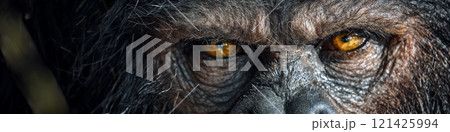 Bigfoot Close-Up: A Glimpse into the Hidden Legend. Generative AI 121425994
