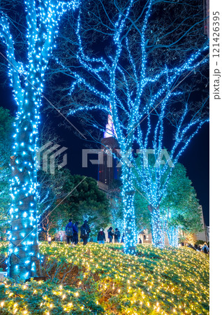 東京都新宿区のイルミネーションの景色 121426395
