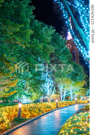 東京都新宿区のイルミネーションの景色 121426396