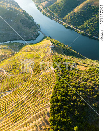 Douro Valley on Sunny Morning. Green Hills with Terraces. Aerial View 121427203