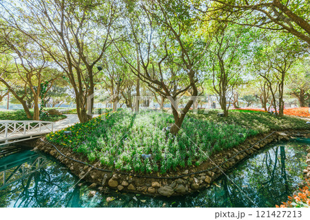 the flower and garden decoration 121427213