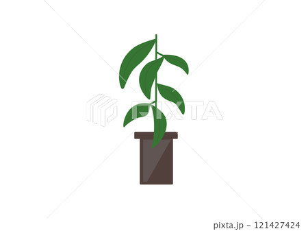 シンプルな観葉植物のイラスト シンプルな観葉植物のイラスト 121427424