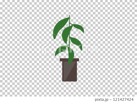 シンプルな観葉植物のイラスト シンプルな観葉植物のイラスト 121427424