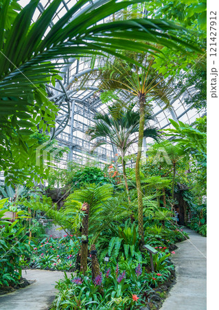 のんほいパーク、植物園のシンボル温室〈愛知県豊橋市〉 121427912
