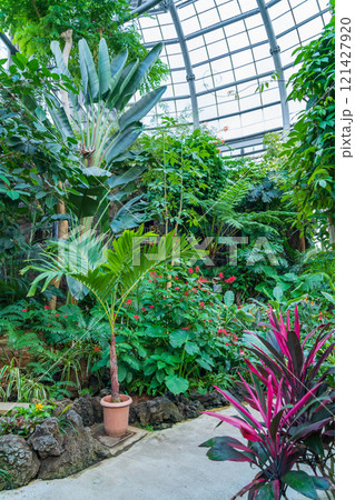 のんほいパーク、植物園のシンボル温室〈愛知県豊橋市〉 のんほいパーク、植物園のシンボル温室〈愛知県豊橋市〉 121427920