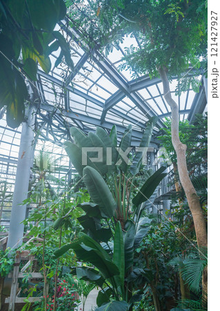 のんほいパーク、植物園のシンボル温室〈愛知県豊橋市〉 のんほいパーク、植物園のシンボル温室〈愛知県豊橋市〉 121427927