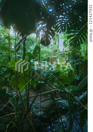 のんほいパーク、植物園のシンボル温室〈愛知県豊橋市〉 のんほいパーク、植物園のシンボル温室〈愛知県豊橋市〉 121427932