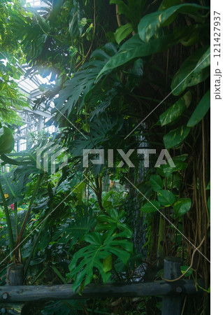 のんほいパーク、植物園のシンボル温室〈愛知県豊橋市〉 121427937