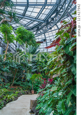 のんほいパーク、植物園のシンボル温室〈愛知県豊橋市〉 121427942