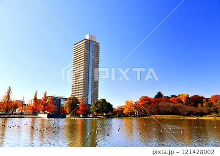 都立 浮間公園(東京都板橋区／北区)【2024.11】 121428002