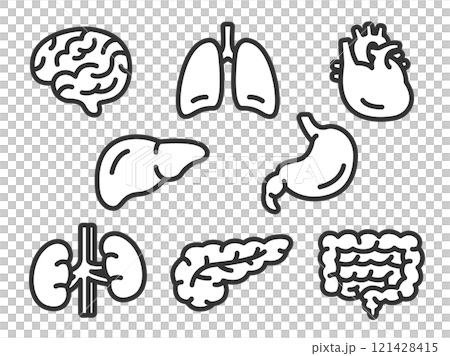 いろいろな、臓器のアイコン(線画)のイラストセット いろいろな、臓器のアイコン(線画)のイラストセット 121428415